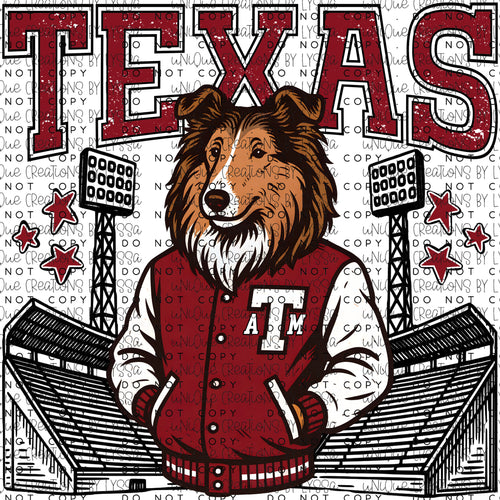A&M MASCOT TRANSFER