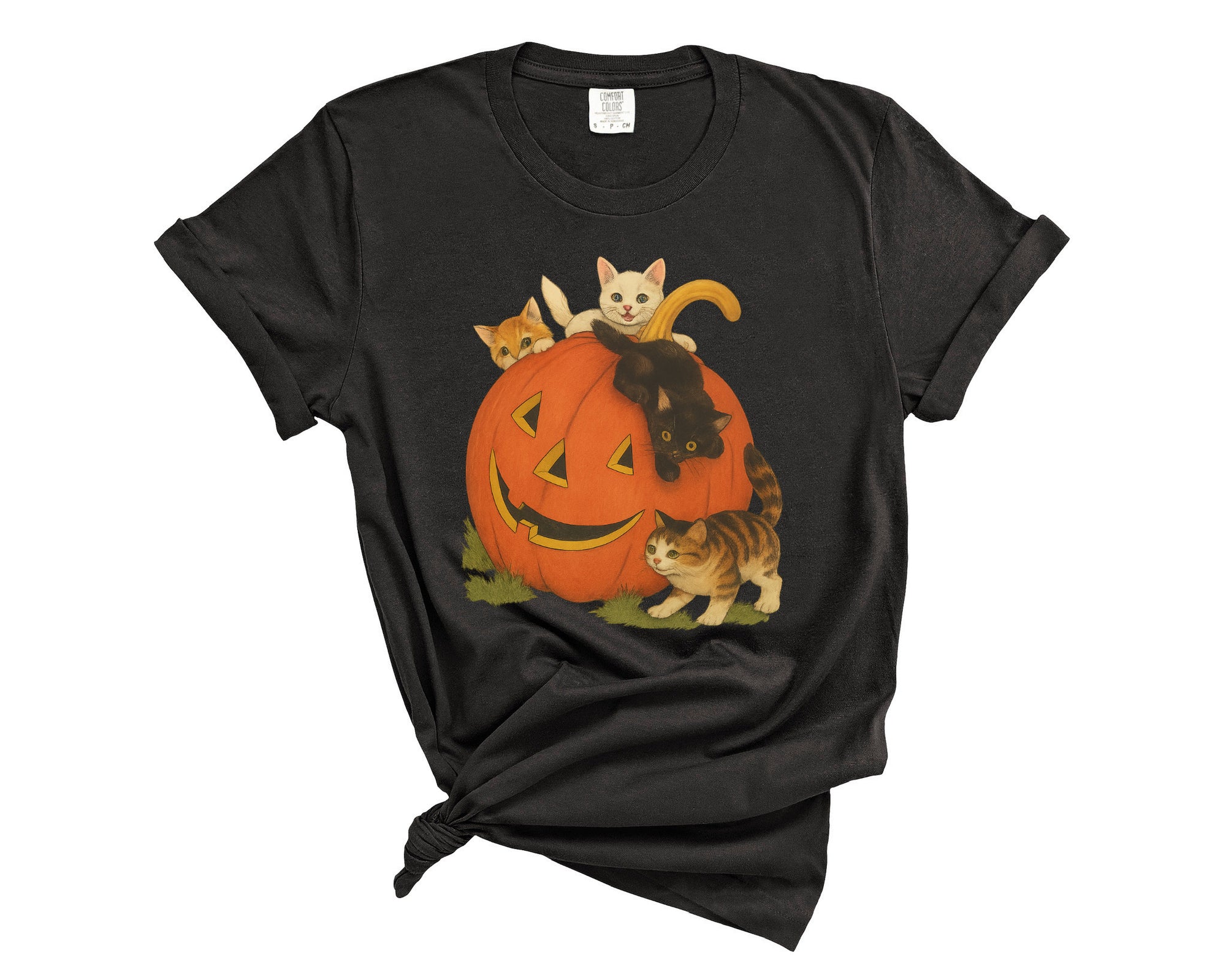 PUMPKIN CATS